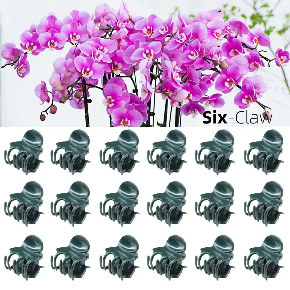 100Pcs Orchid Plant Support Clips – 6-Claw Butterfly Vine Clamps Plant Support Clips Nixie