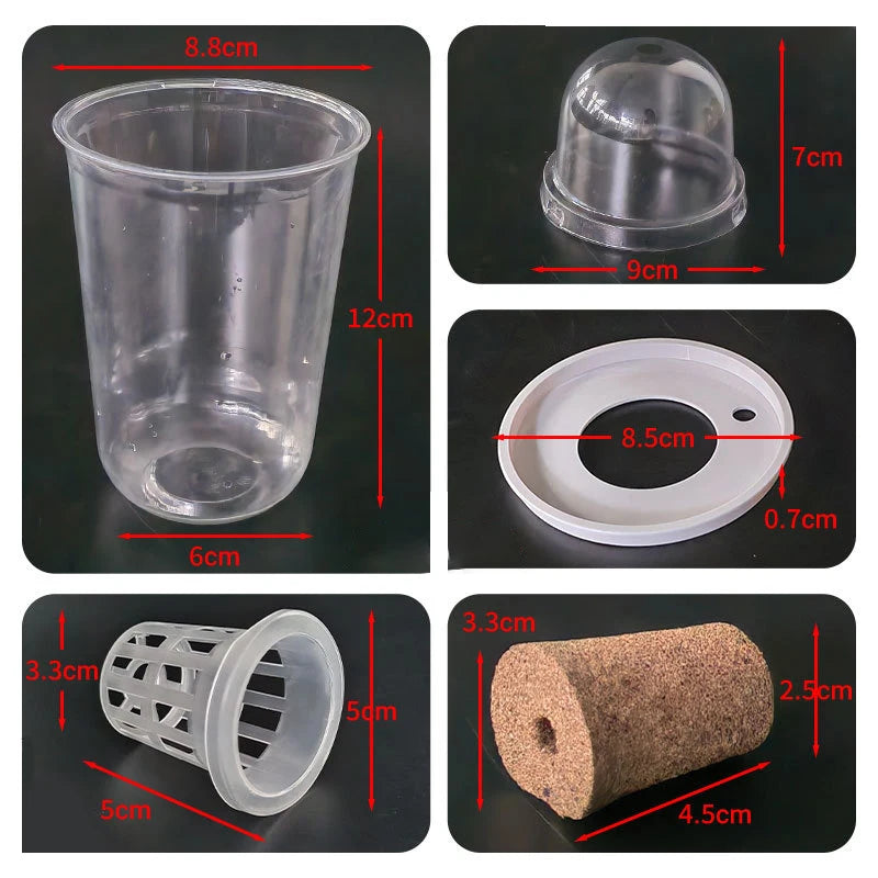 Hydroponic Planter Pots – Transparent Root View Seedling Cups Hydroponic Planter Pots Nixie