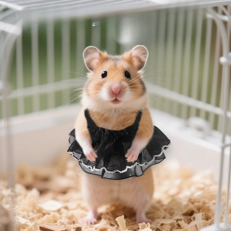 Hamster Clothes & Skirts – All-Season Small Pet Outfits Small Pet Clothing Nixie