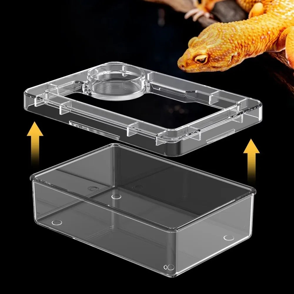 Reptile Feeding Bowls – Anti-Tip Transparent Dish for Lizards & Geckos Reptile Feeding Bowl Nixie