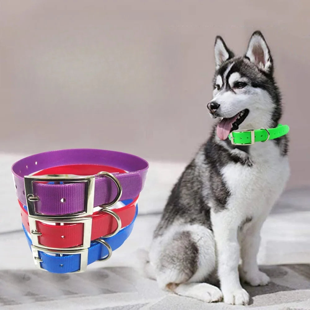 Waterproof PU Dog Collar – Odor & Dirt Resistant | Easy Clean Dog Collar Nixie