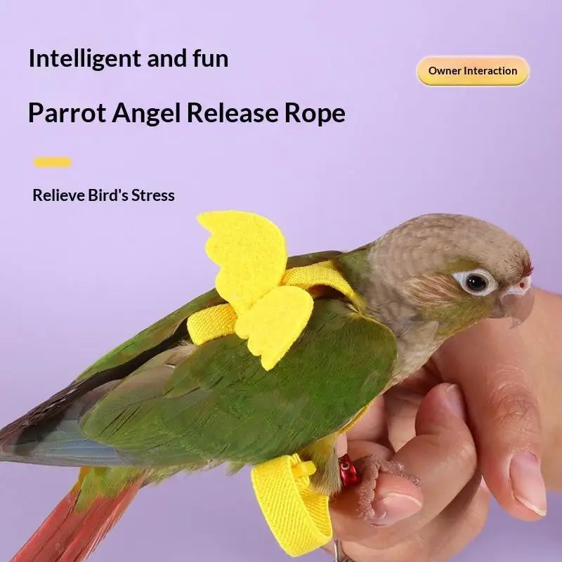 Parrot Harness & Leash Set – Budgie Cockatiel Outdoor Training Bird Harness Leash Nixie