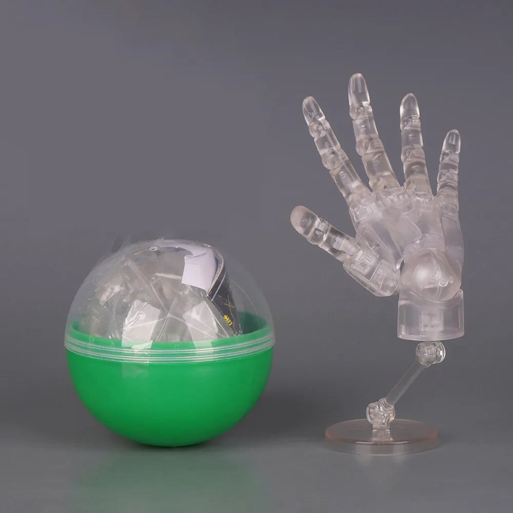 1:2 Scale Articulated Human Hand Model – Posable Fingers Articulated Hand Model Nixie Clear Right