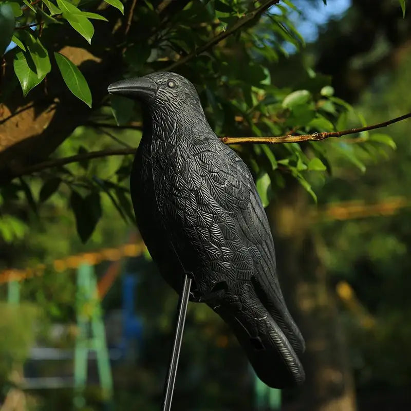 Realistic Black Crow Raven Decoy – Garden Bird Scare Ornament Garden Bird Decoy Nixie