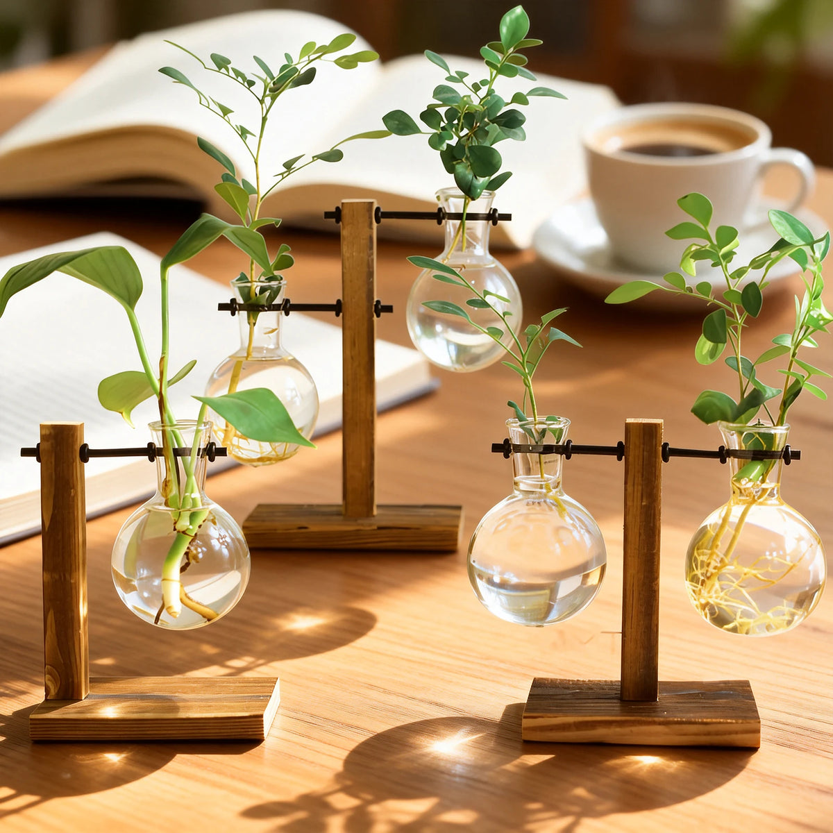 Hydroponic Glass Terrarium Vase with Wooden Stand | Desktop Decor Glass Terrarium Vase Nixie
