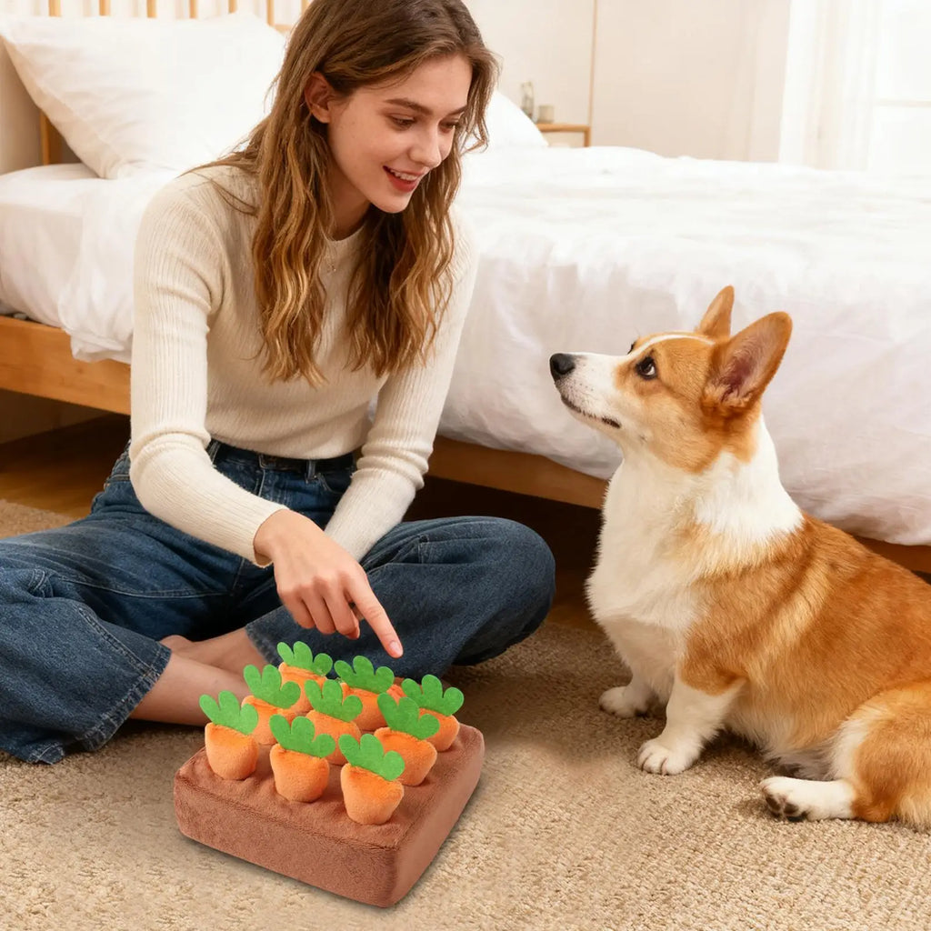 Dog Snuffle Mat Carrot Puzzle Feeding Toy – Dogs & Puppies Pet Puzzle Toy Nixie
