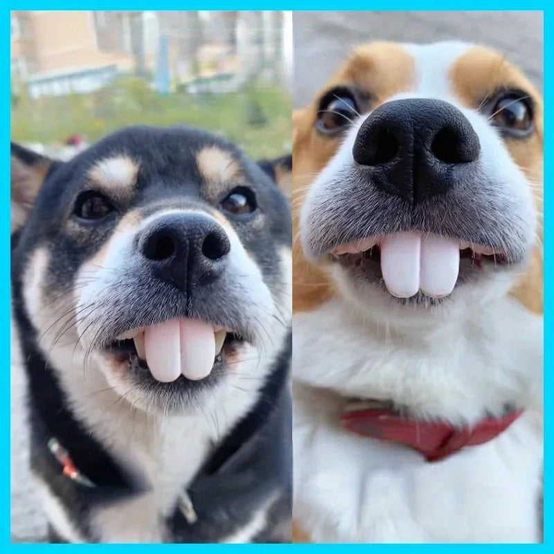 Funny Dog False Teeth – Halloween Cosplay Pet Costume Prop Novelty Pet Prop Nixie