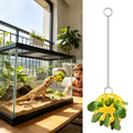 Bearded Dragon Enrichment Feeding Ball with Suction Cup Toy Reptile Enrichment Toy Nixie Default Title