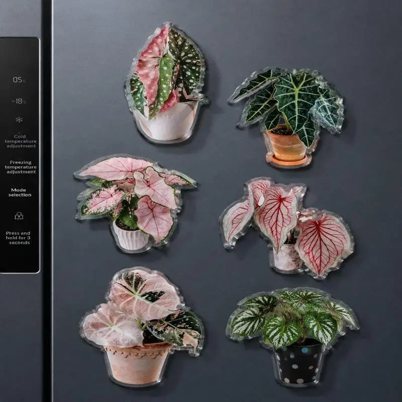 Rotatable Artificial Plant Fridge Magnet | Acrylic Tropical Decor Decorative Fridge Magnet Nixie