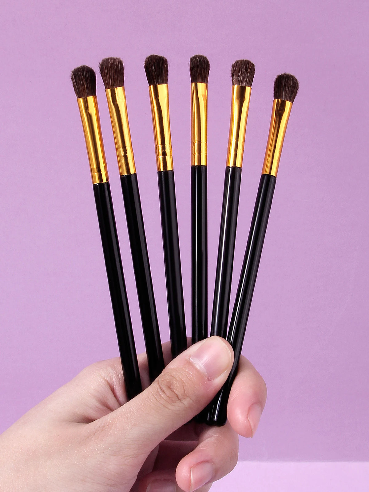 6-Piece Horsehair Eyeshadow Brush Set – Blending & Contouring Eyeshadow Brush Set Nixie
