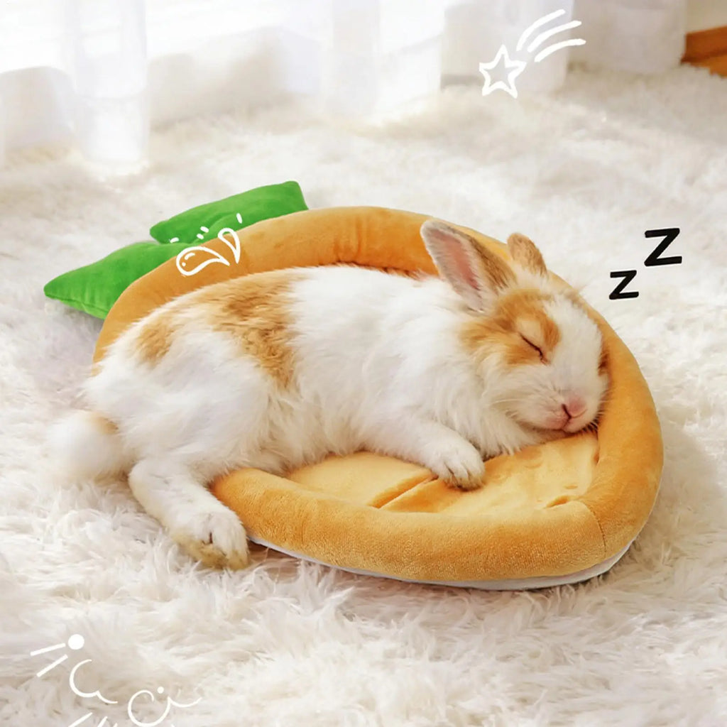 Carrot Shaped Bunny Sleeping Mat | Soft Plush Pet Cushion Pad