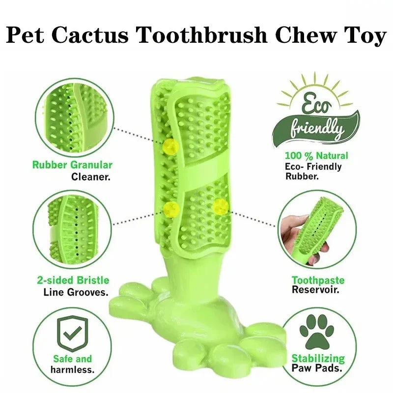 Dog Cactus Rubber Chew Toy – Treat Dispenser & Teeth Cleaner Dog Chew Toy Nixie
