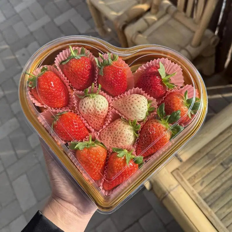 Heart-Shaped Snack Storage Boxes with Lid – Set of 3 Snack Storage Boxes Nixie