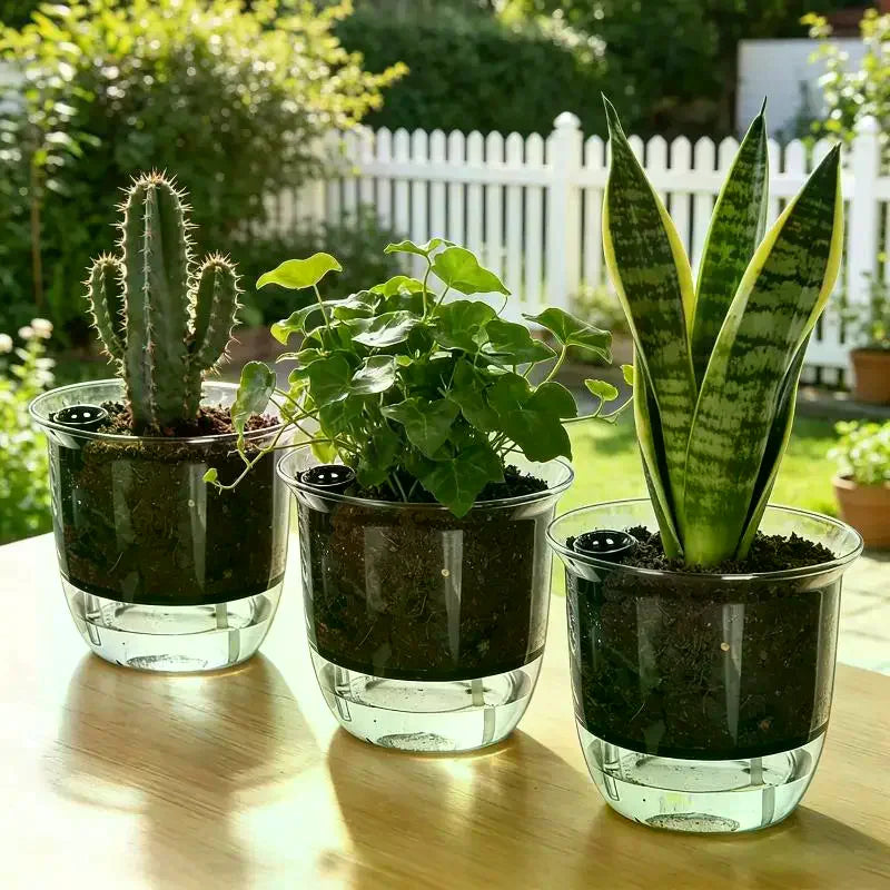 3-Pack Self-Watering Indoor Plant Pots – BPA-Free Clear Planters Self-Watering Planter Nixie