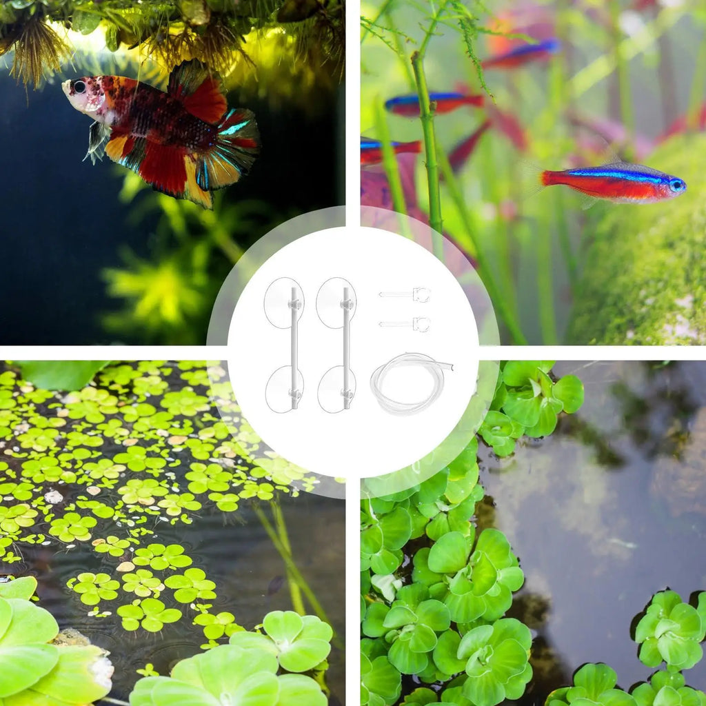Aquarium Floating Plant Corral – Fish Tank Feeder Ring & Fence Aquarium Plant Corral Nixie