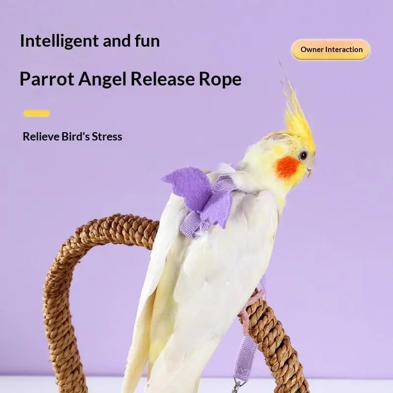 Parrot Harness & Leash Set – Budgie Cockatiel Outdoor Training Bird Harness Leash Nixie