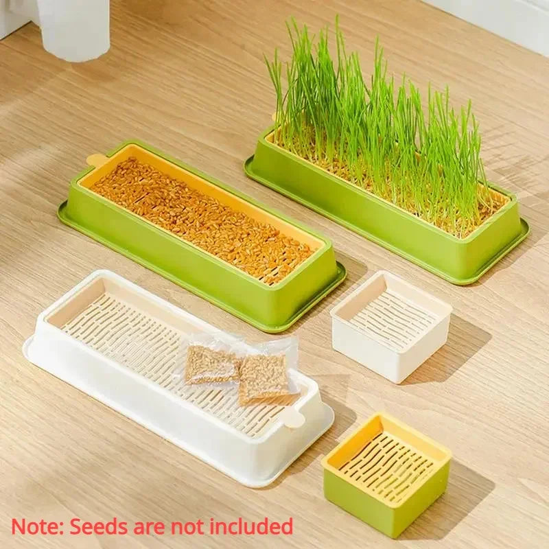 Cat Grass Growing Kit – Hydroponic Layered Tray, 4 Styles