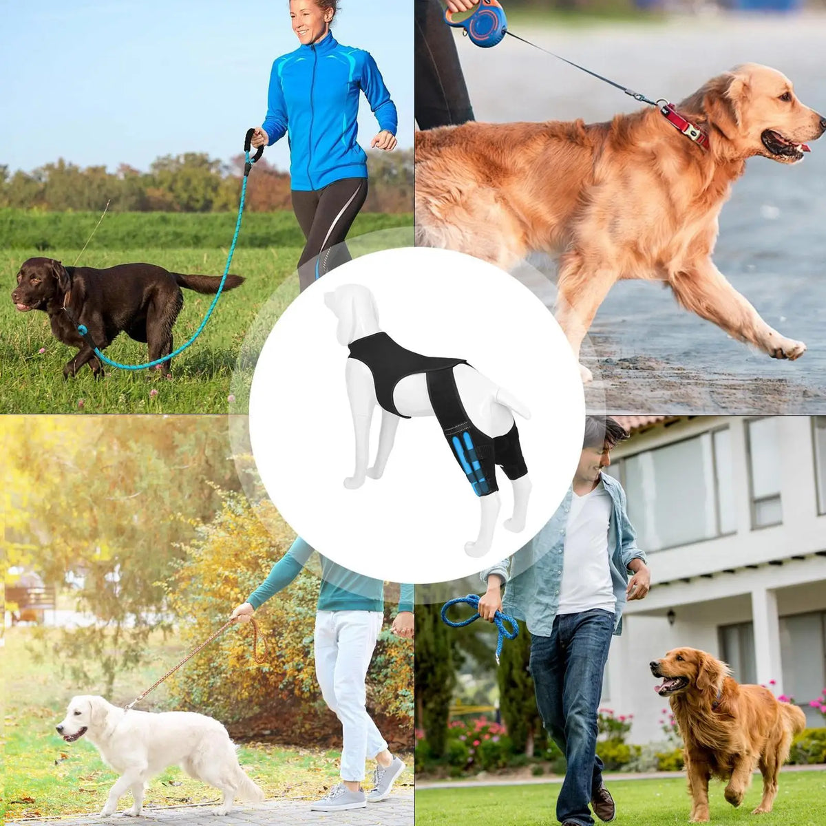 Adjustable Dog Rear Leg Brace with 4 Metal Stabilizers Dog Leg Brace Nixie