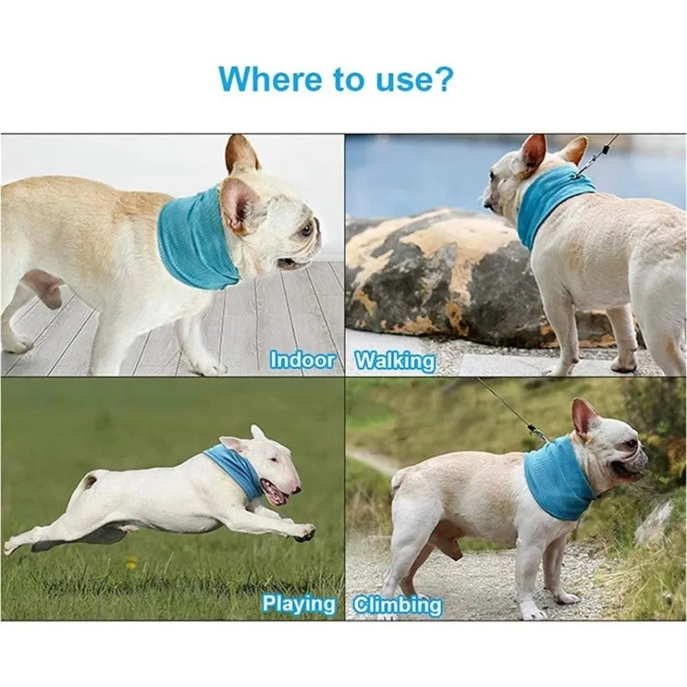 Dog Cooling Towel Scarf with Leash Hole – 3 Sizes | Nixie Pet Cooling Scarf Nixie