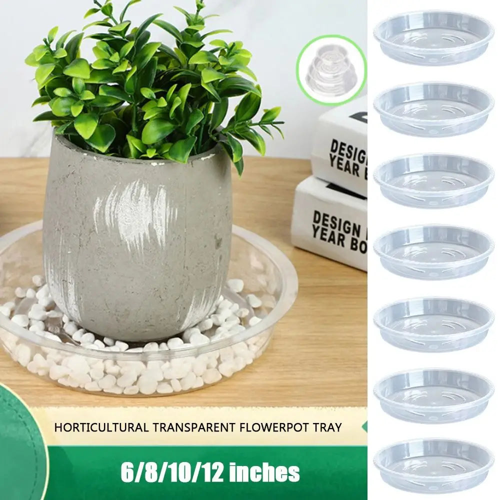 10 Pack Clear Round Plastic Flower Pot Drip Trays – 6 Sizes Plant Drip Trays Nixie