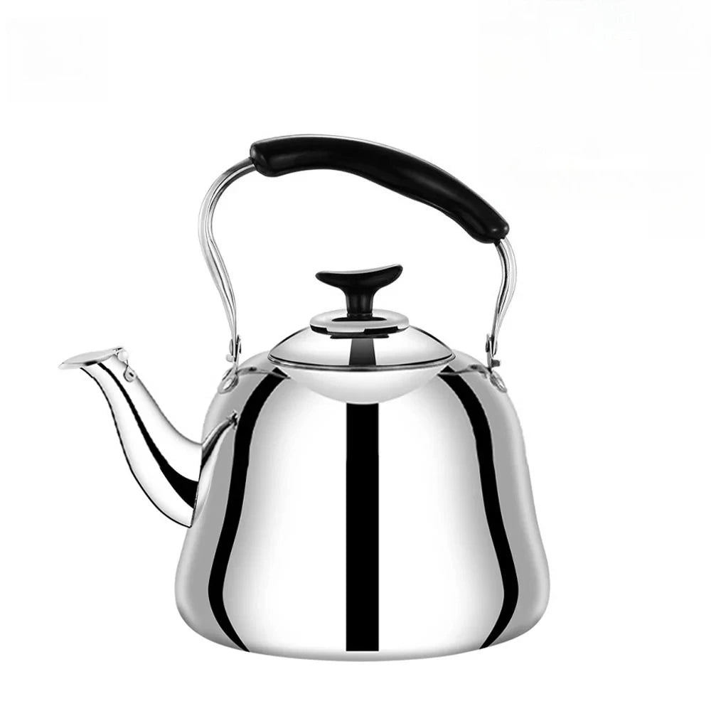 Stainless Steel Whistling Tea Kettle with Infuser & Handle