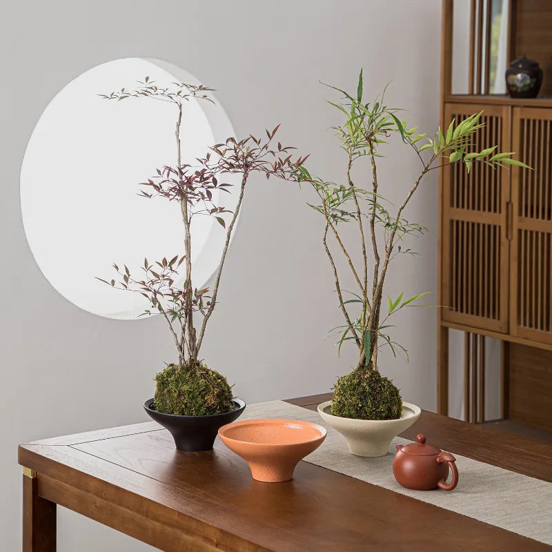 Porcelain Hydroponic Flower Pot – New Chinese Style Orchid Planter Decorative Planter Pot Nixie