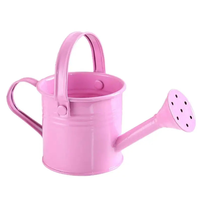 Metal Galvanized Watering Can for Garden – Anti-Rust Iron Pot Garden Watering Can Nixie A1