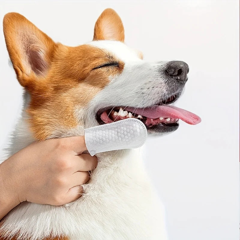 50/100 Disposable Pet Finger Toothbrushes – Dogs & Cats Pet Finger Toothbrush Nixie