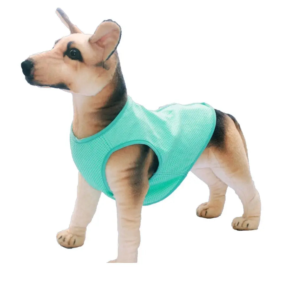 Dog Cooling Vest – Breathable Lightweight Summer Jacket for Dogs