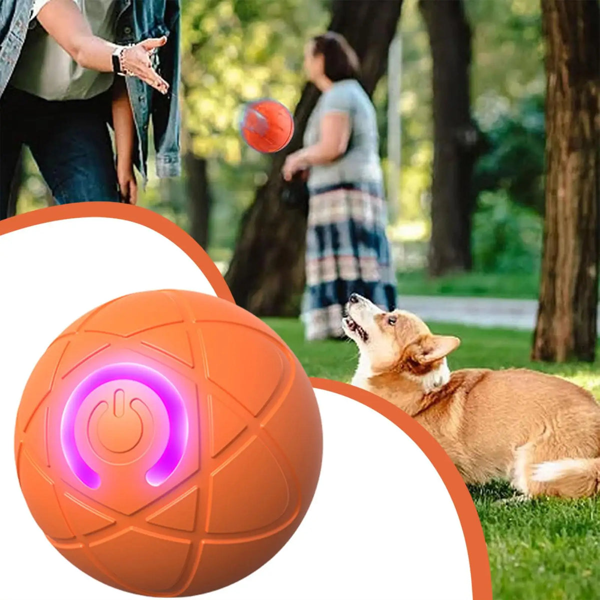 Interactive Auto-Rolling Dog Toy Ball – USB Rechargeable LED Interactive Dog Toy Nixie
