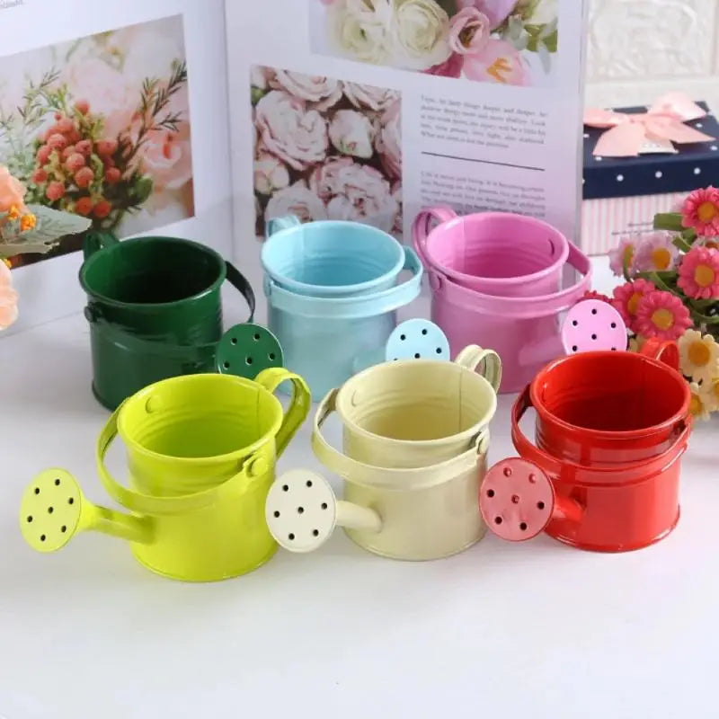 Metal Galvanized Watering Can for Garden – Anti-Rust Iron Pot Garden Watering Can Nixie
