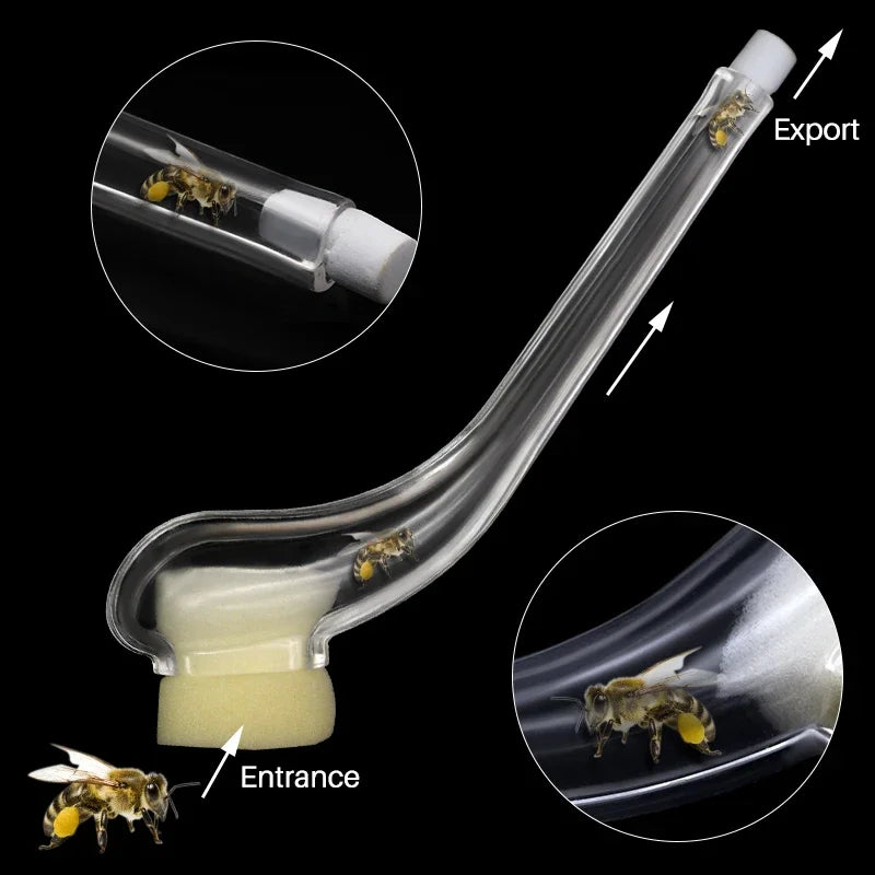 2PCS Queen Bee Catcher Cage | Beekeeping Rearing Tool Beekeeping Catcher Cage Nixie