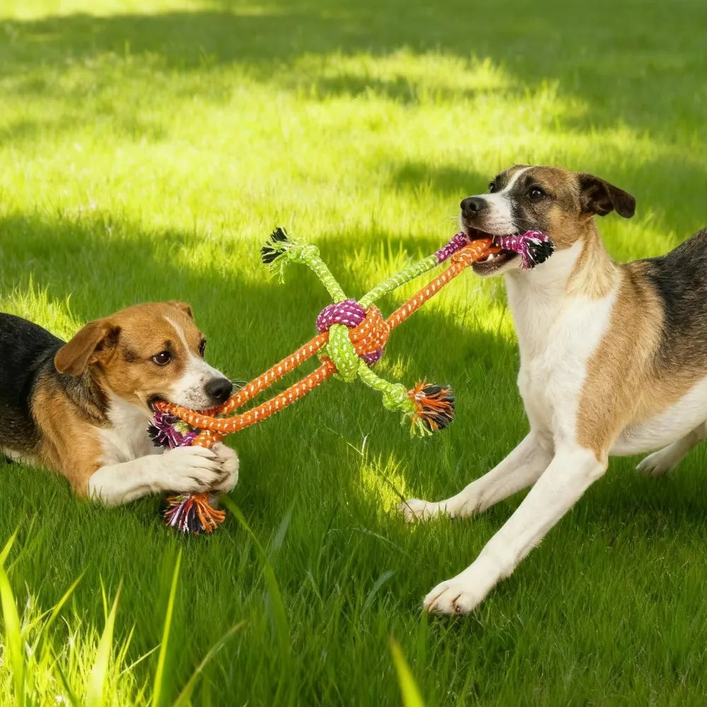 Dog Cotton Rope Knot Chew Toy – Bite-Resistant Interactive