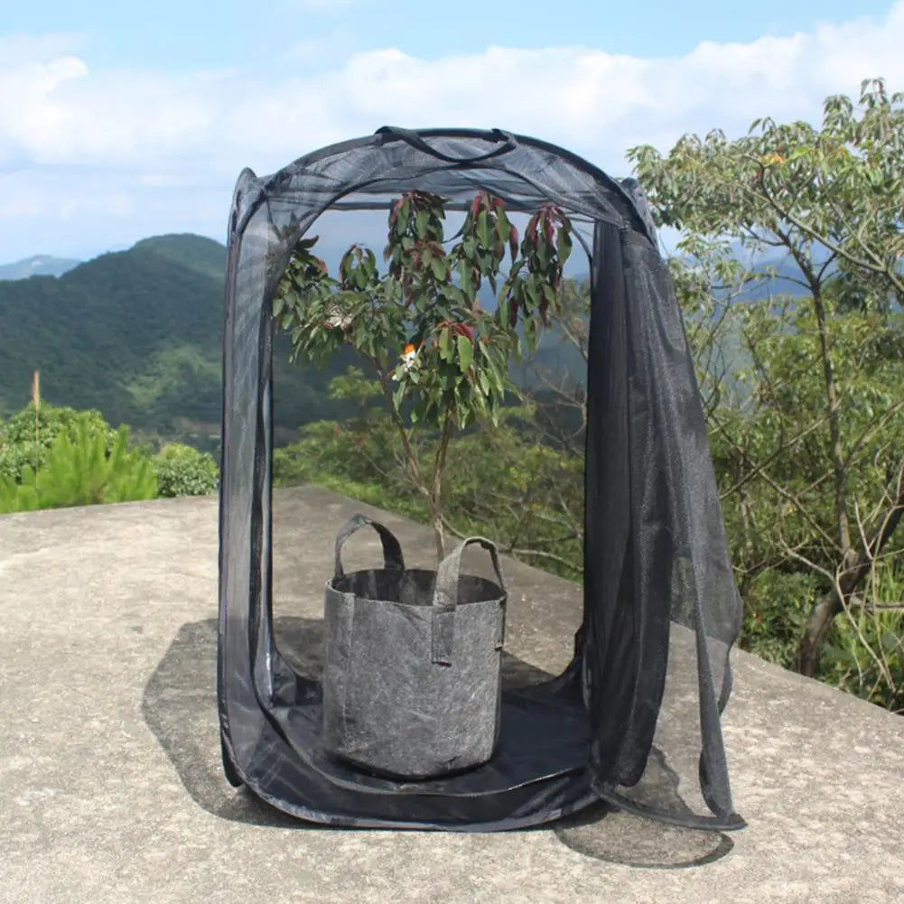 Insect Mesh Habitat Cage – Butterfly & Bug Net Terrarium S/M/L
