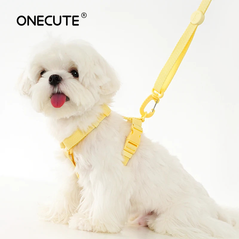 Macaroon Color Dog Harness Collar & Leash Set – Small Dogs Pet Harness Set Nixie