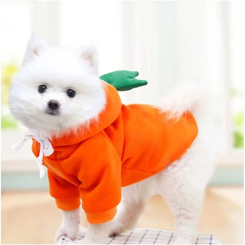 Cute Fruit Dog Hoodie – Warm Fleece Jacket for Small Dogs Dog Hoodie Jacket Nixie