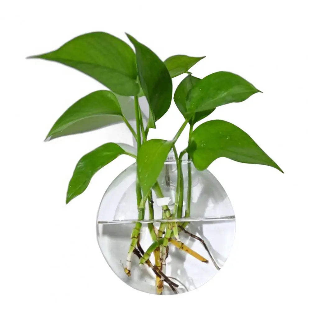 Wall Hanging Glass Planter | Hydroponic Vase Terrarium