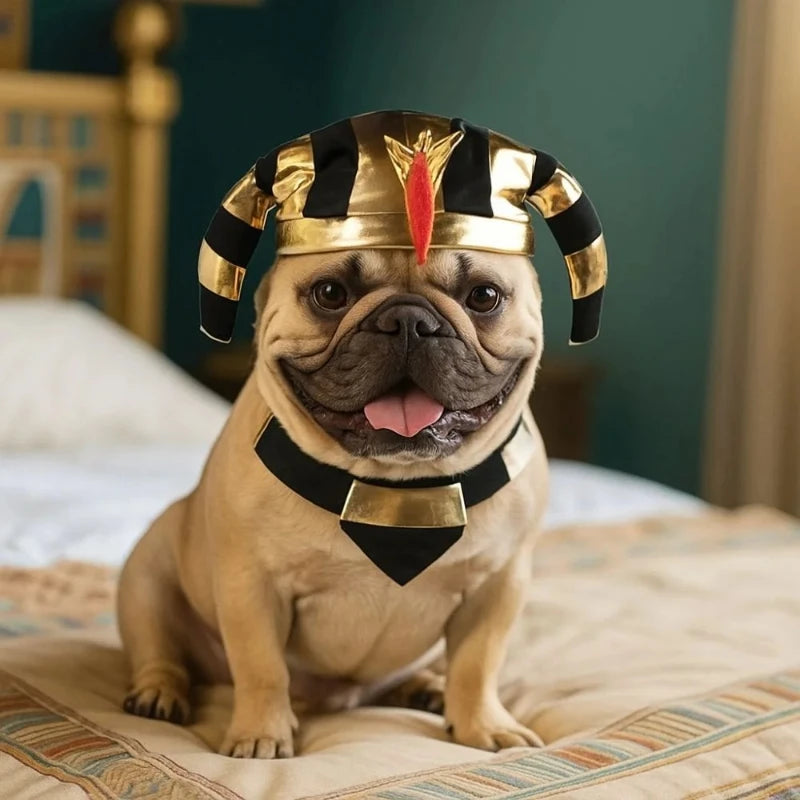 Pet Egyptian Pharaoh Hat with Bib – Halloween Cosplay Costume Pet Costume Hat Nixie