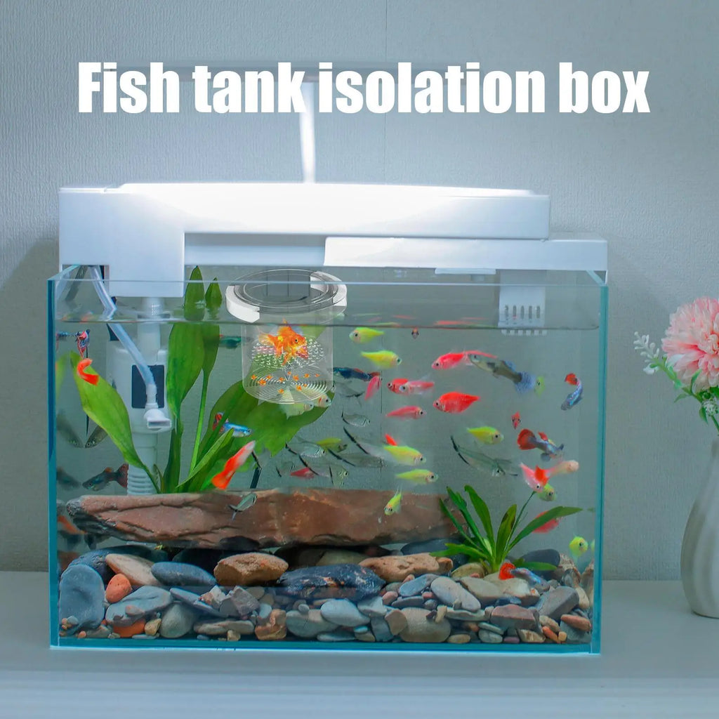 Floating Fish Tank Breeder Box – Hatchery & Isolation Box