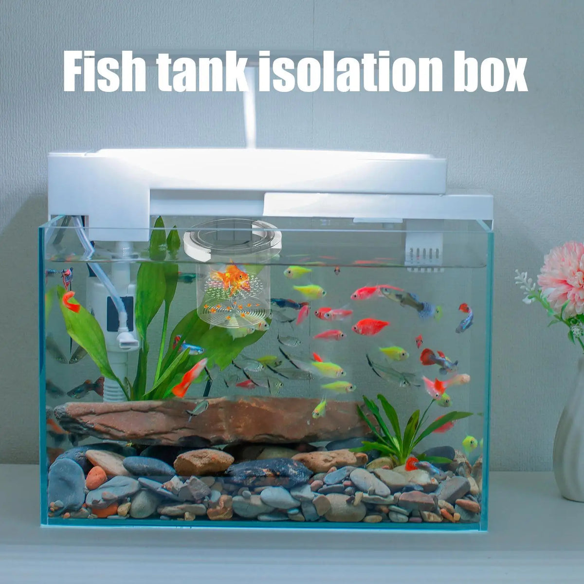 Floating Fish Tank Breeder Box – Hatchery & Isolation Box