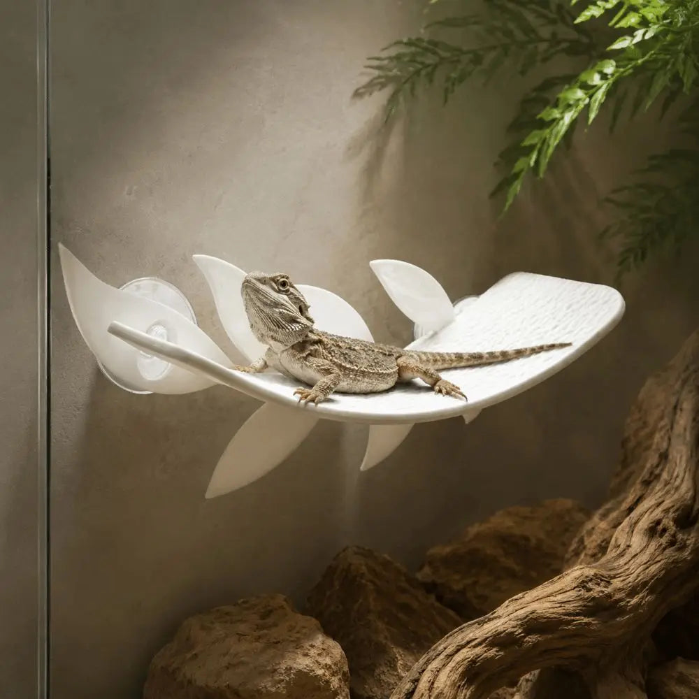 PLA Reptile Habitat Leaf with Suction Cups – Vivarium Decor Reptile Habitat Decor Nixie