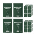 OceAura Berberine Body Patches – Energy & Wellness Support Wellness Body Patch Nixie 120pcs