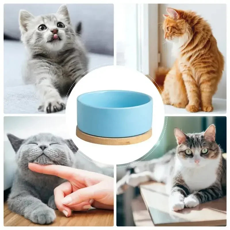 Heated Ceramic Pet Water Bowl – Thermostatic Dog & Cat Feeder Heated Pet Bowl Nixie