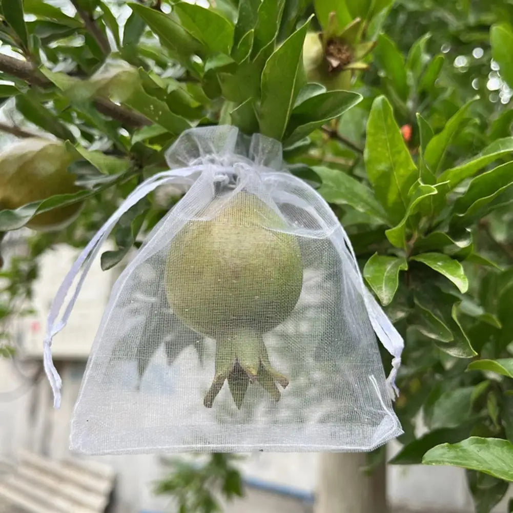 Reusable Mesh Fruit Protection Bags with Drawstring – 10–40 Pack Garden Mesh Bags Nixie