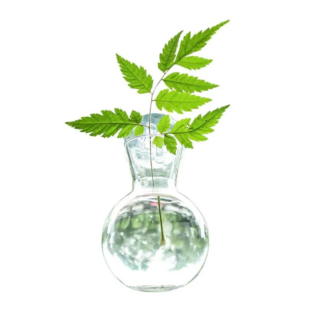 Window Propagation Station Plant Bulb Vase with Suction Cup Propagation Planter Nixie