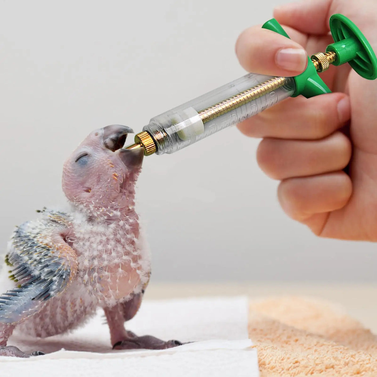 Baby Bird Feeding Syringe Kit with Soft Hose – 10/20/50ml Bird Feeding Syringe Nixie