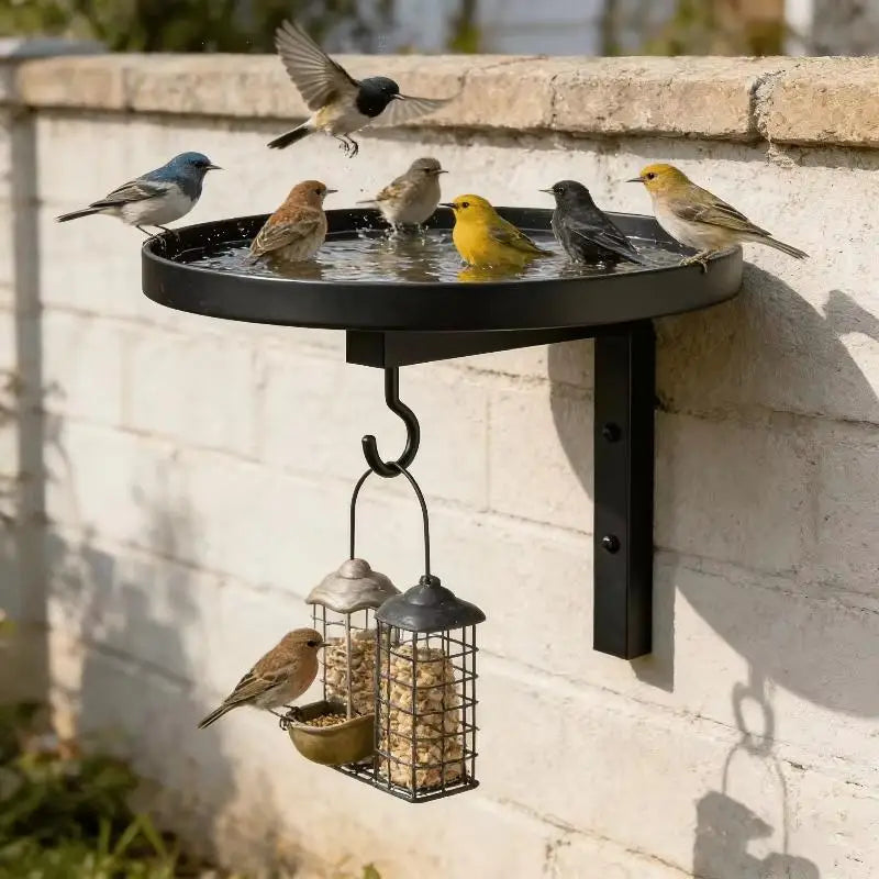 Wall Mounted Iron Bird Bath & Feeder with Hook – All Season