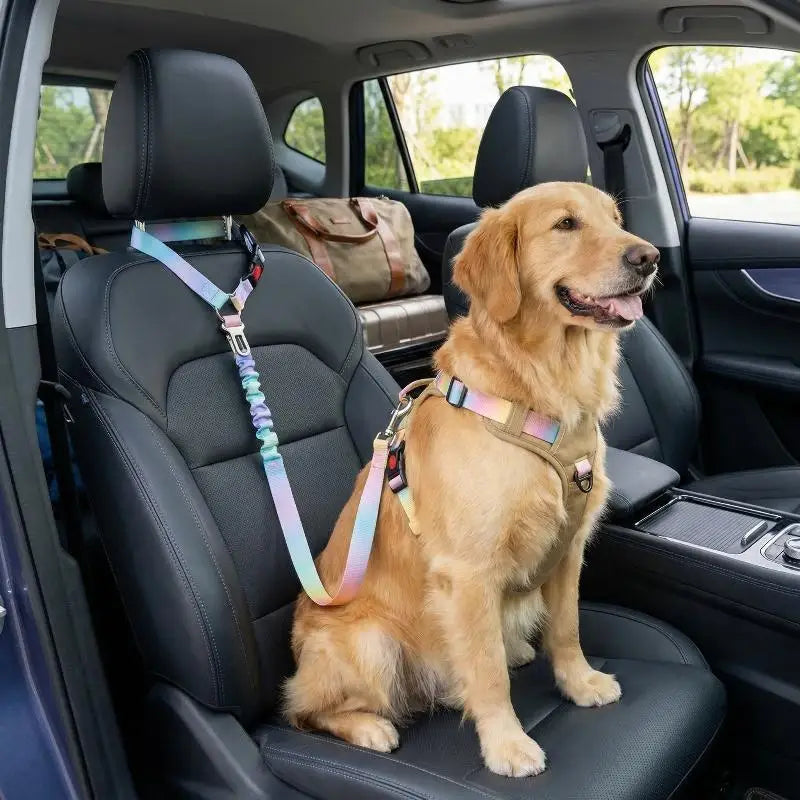 2-in-1 Dog Car Seatbelt & Leash – Adjustable Pet Safety Tether Dog Car Safety Leash Nixie