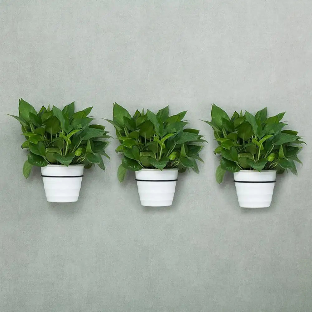Wall Mounted Metal Flowerpot Holder Ring 4/5/6/8 Inch Sizes Flowerpot Wall Bracket Nixie