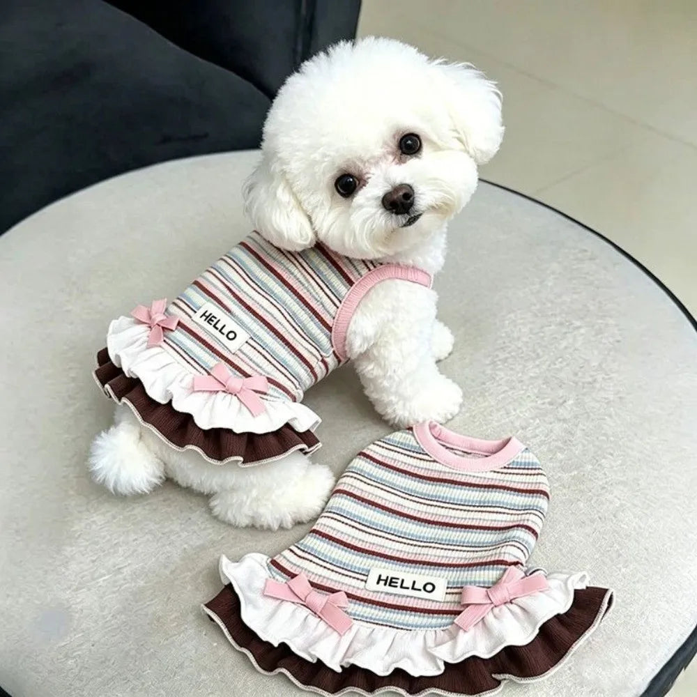 Rainbow Stripe Lace Dog Dress – Summer Skirt for Small Dogs Dog Dress Nixie